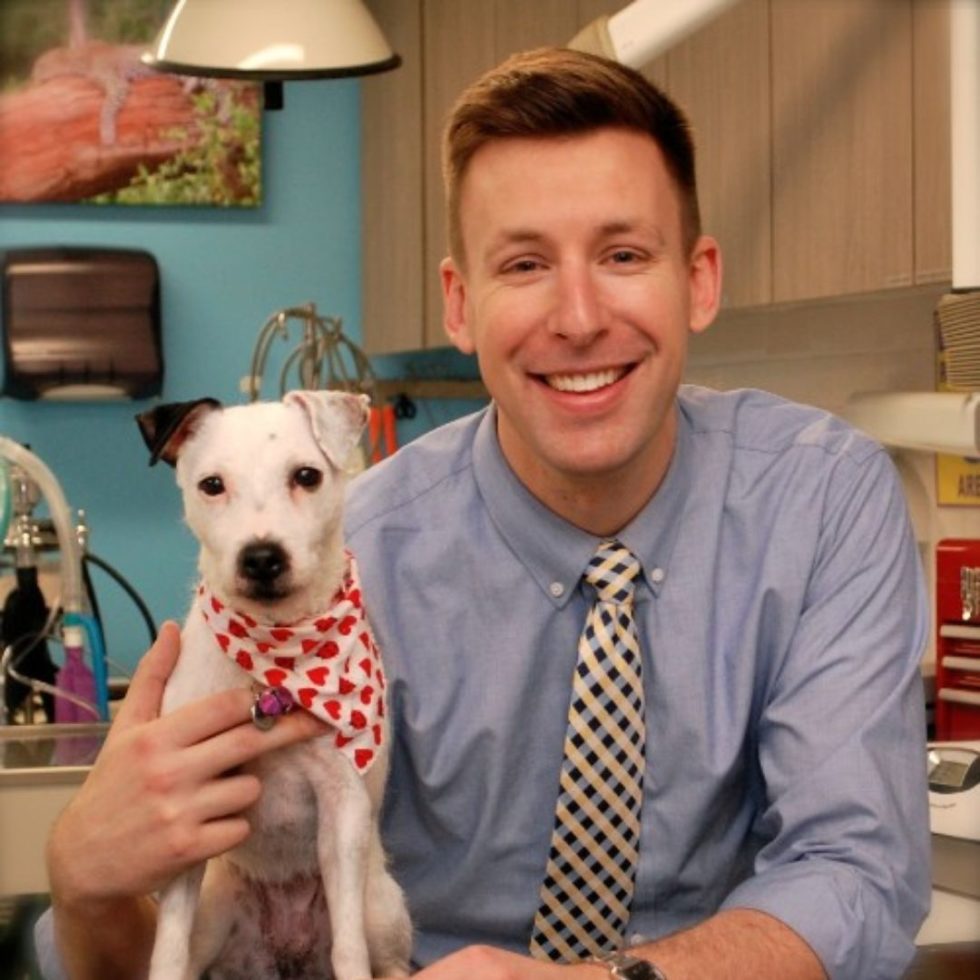 Matthews, NC 28105 Veterinarians Animal Eye Clinic