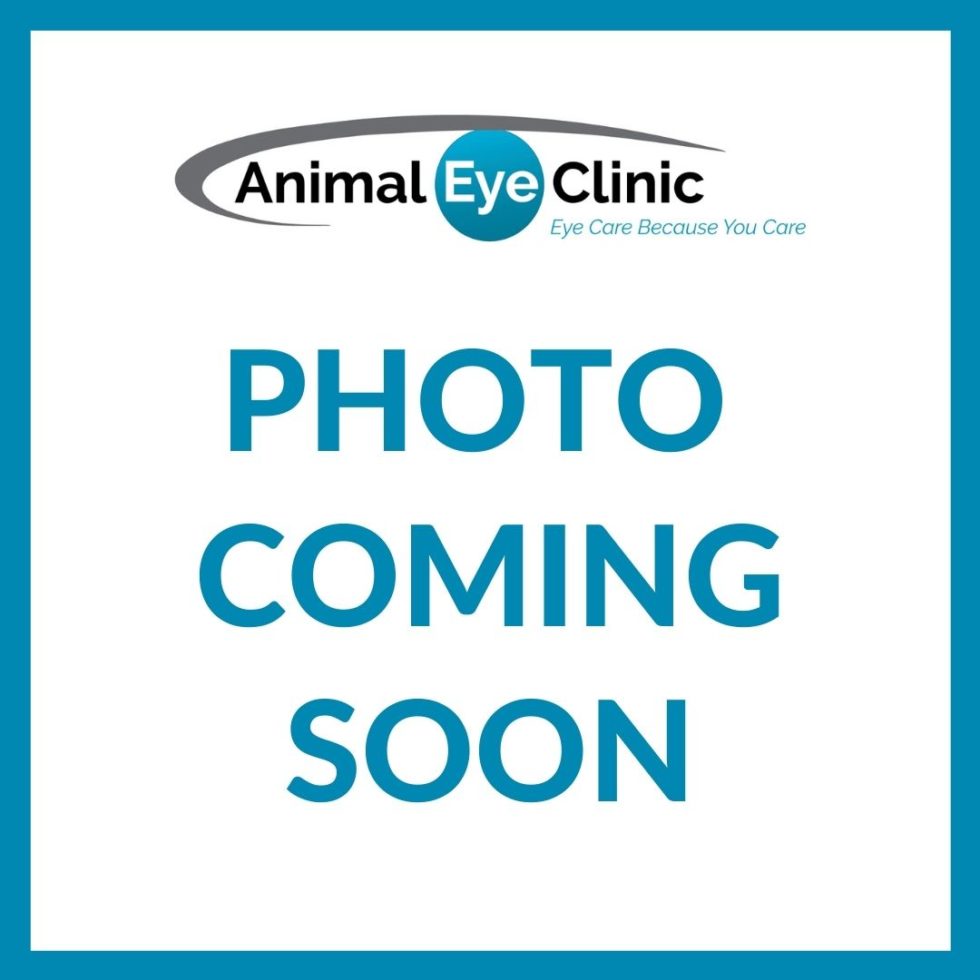 Matthews, NC 28105 Veterinarians Animal Eye Clinic