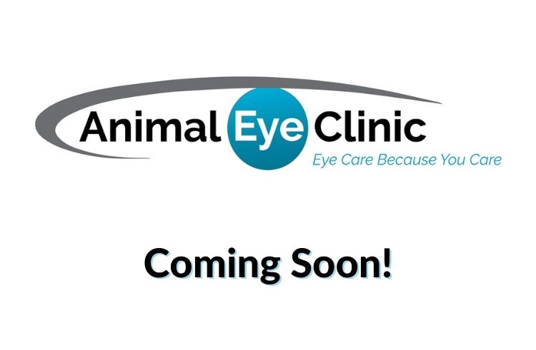 ANIMAL EYE CLINIC - WAXHAW (EQUINE LOCATION)