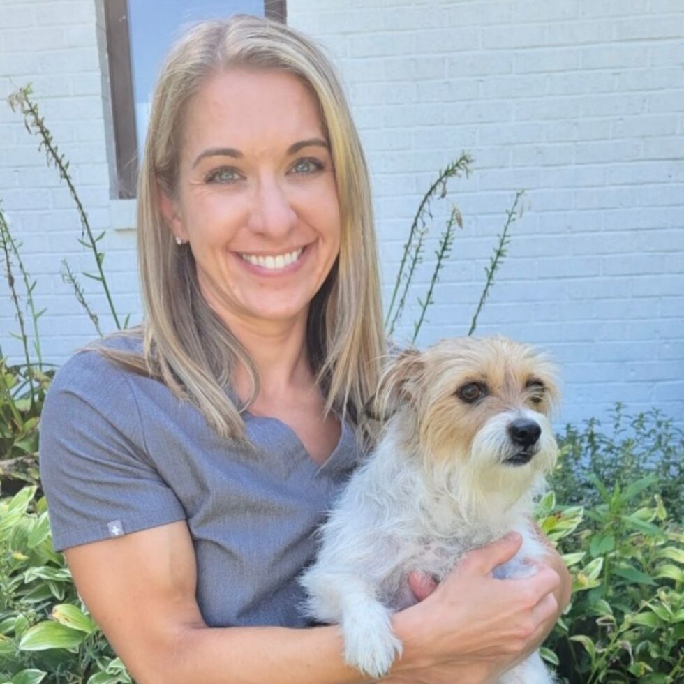 Matthews, NC 28105 Veterinarians Animal Eye Clinic